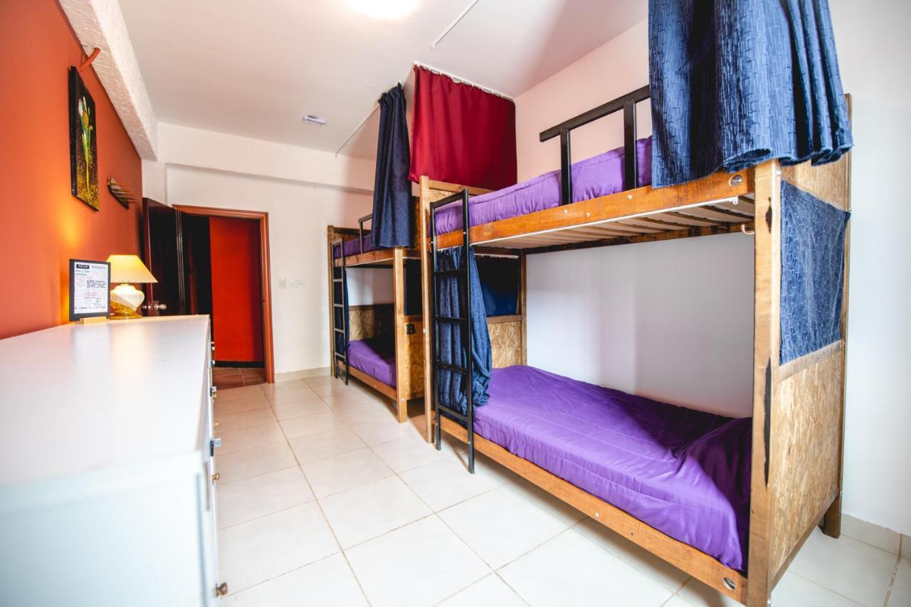 Oshovia Hostel Ushuaia Eksteriør billede